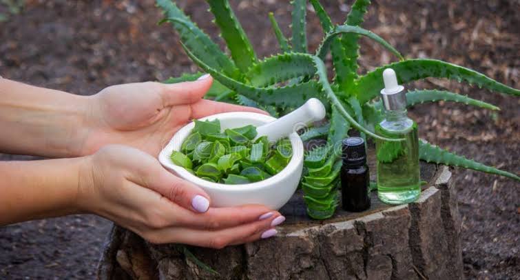 Aloe Vera Oil